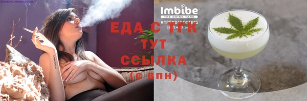 индика Богданович