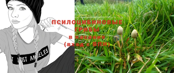 шишки Бугульма