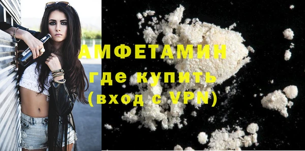 индика Богданович